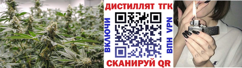 ТГК концентрат  Купить где  Грозный